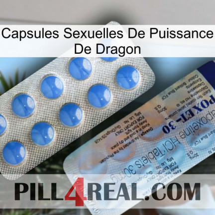 Dragon Power Sexual Capsules 39